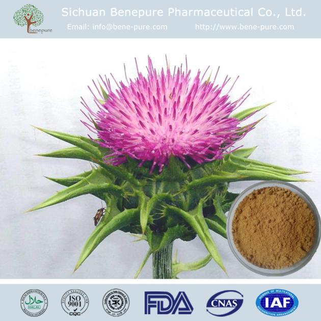 Milk Thistle Extract