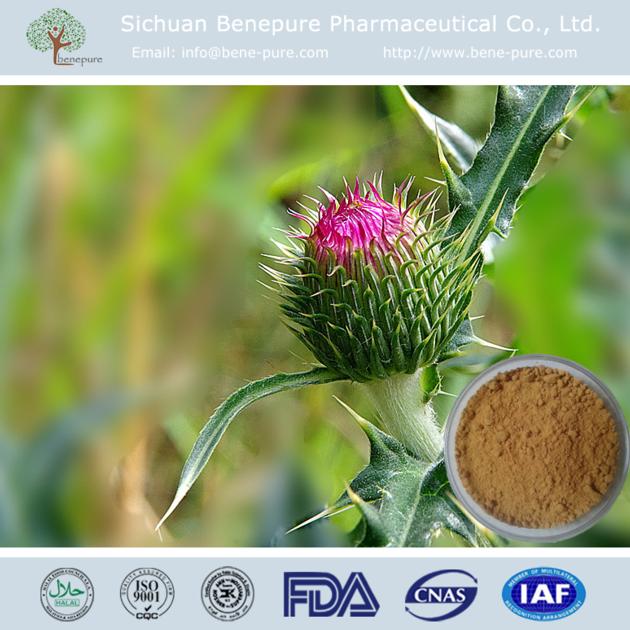 Milk Thistle Extract