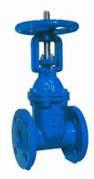 BS5163 Rising Resilient Seated Gate Valve