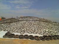 SILAGE SHEET