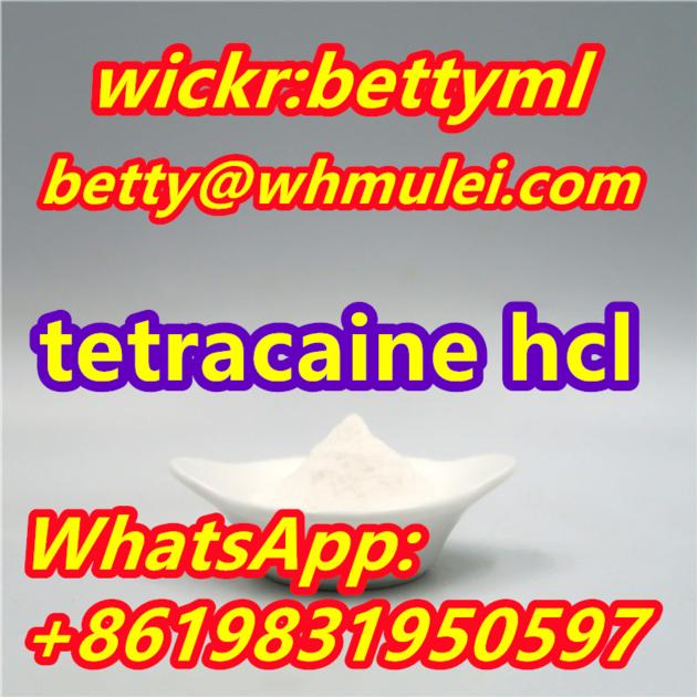 Cas 136 47 0 Factory Tetracaine