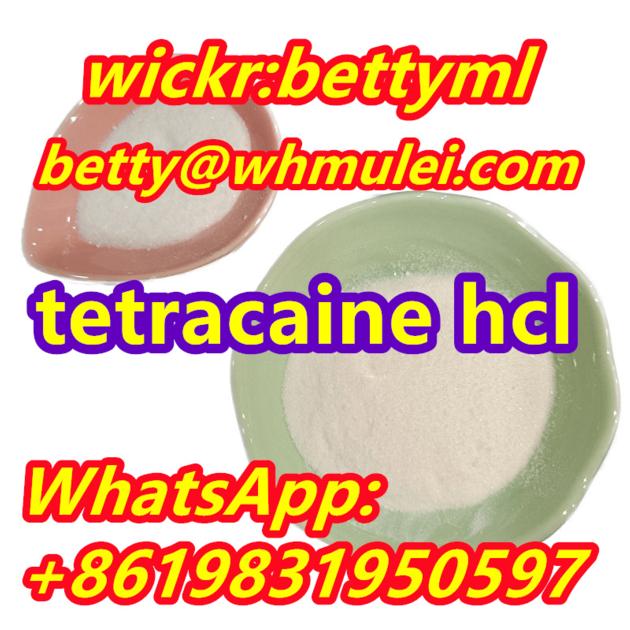 Cas:136-47-0 factory Tetracaine hydrochloride,tetracaine hcl powder favorable price safe delivery