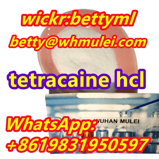Cas 136 47 0 Factory Tetracaine