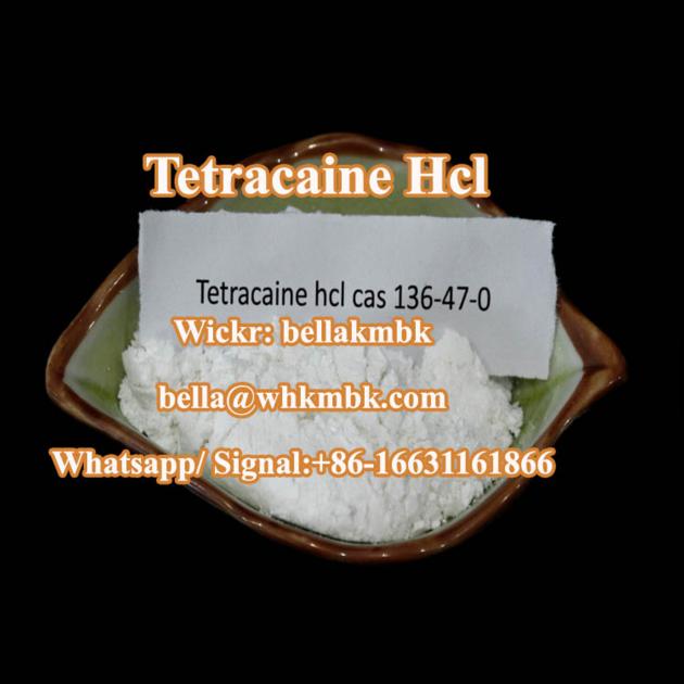 Local Anesthetic Tetracaine HCl CAS 136