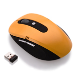 Wireless Optical Mouse (WM-601)