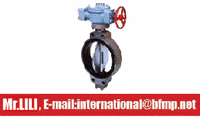 Doube eccentric electric butterfly valve PN0.5~1.6MPa;5K~16K  Specification:DN80~DN800