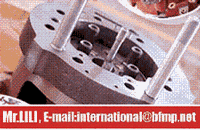 Agent BERGEN LSG8,LSG6,LDG-6,LSG-6 ,RTGB-6,RSGB-6,S32FA inlet valve,exh valve,valve seat,guide tube