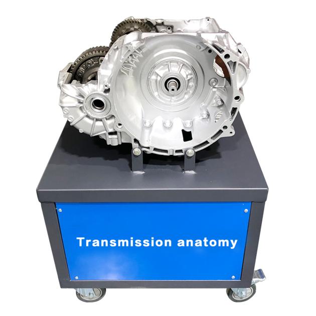 Transmission Anatomy Visualizer