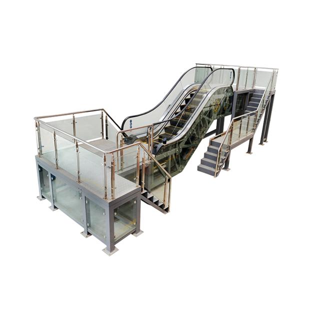 Escalator teaching model training device