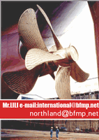 Supply Nakashima fixed pitch propeller for large ship