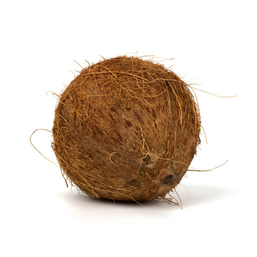 Coconut