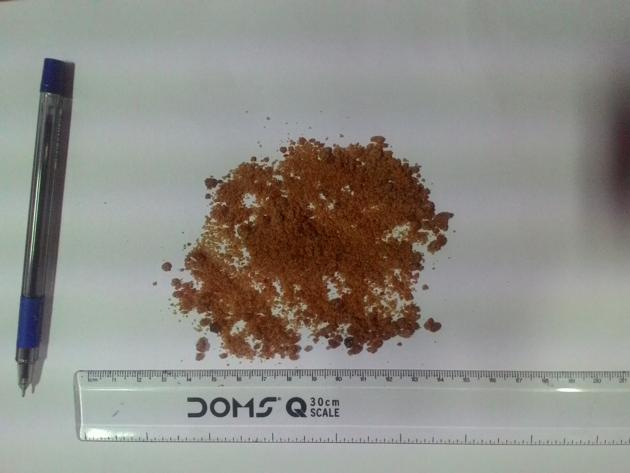 Coconut