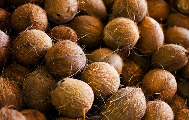 Coconut