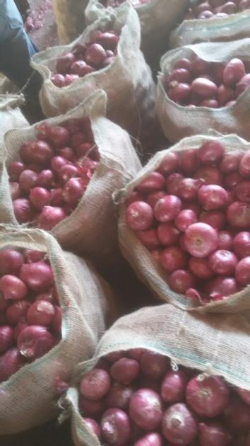 Onion
