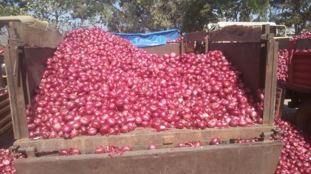 Onion
