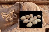 Elephant Pearl or Gaja Mani or Gaja Muthu or Gaja Muthu