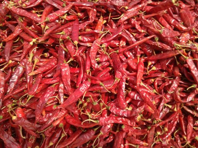 Red Chilli
