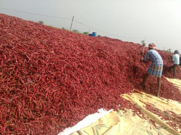 Red Chilli