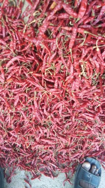 Red Chilli