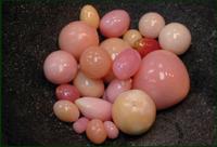 Conch Pearls