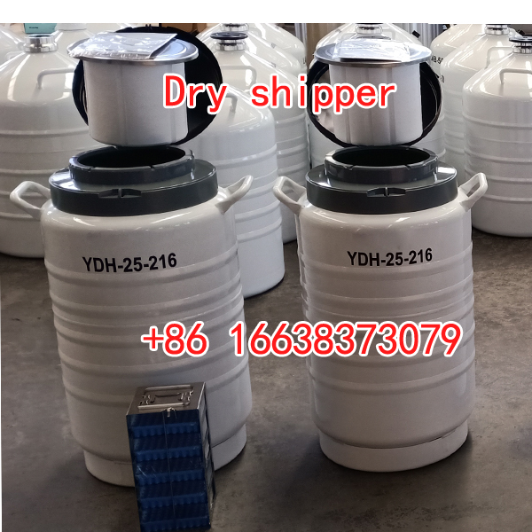 wholes new features cheap vacuum flask dry shipper YDH 25  cryocube dry shipper with cryobox