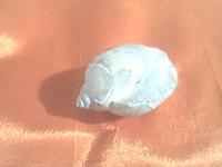 Heera Shankh