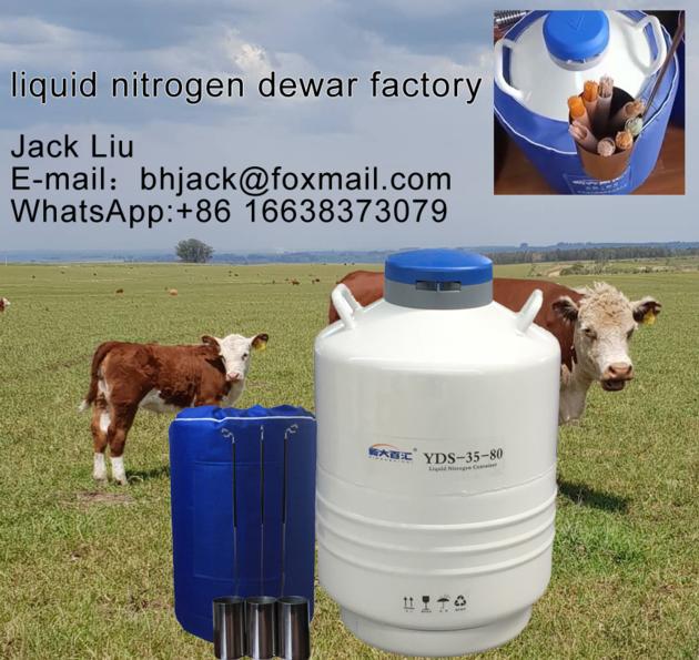 Liquid Nitrogen Bull Semen Tanks 2