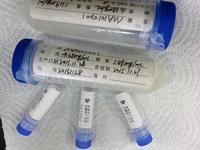 Synthetic cannabis-BSA Antigen Conjugate
