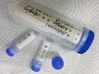 Cotinine-BSA Antigen Conjugate