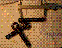 DIN444 Eyebolts 0051