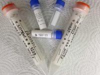 Mouse anti-Methadone Metabolization Monoclone Antibody