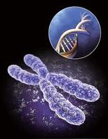 Gene Recombinant Antigen