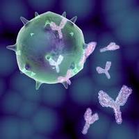 Monoclonal Antibody Development Service