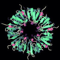 Recombinant Protein Service