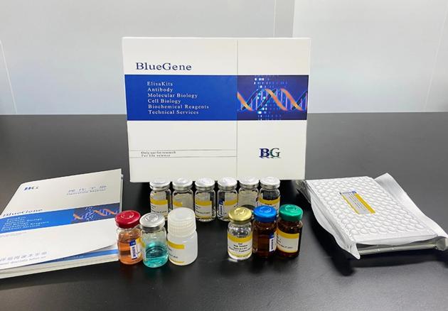 BlueGene Biotech Hamster Total Adiponectin ELISA kit