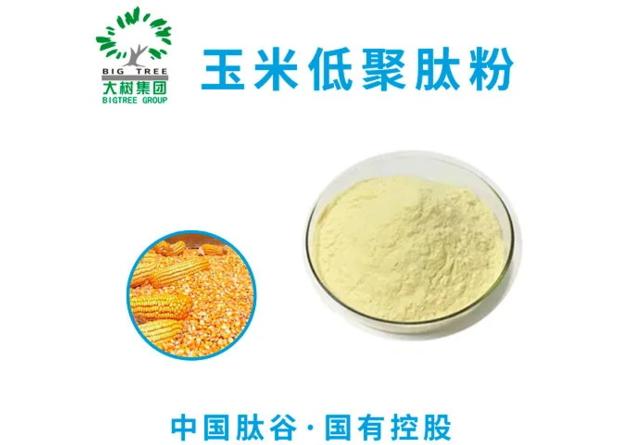 Corn Peptide Manufacturer