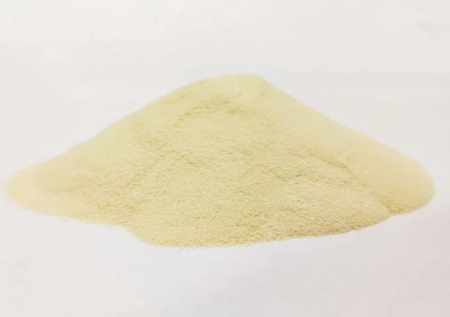 Non Dairy Coconut Creamer Powder Supplier