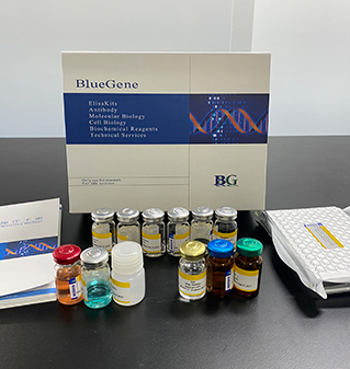 BlueGene Biotech Bovine Catalase ELISA kit
