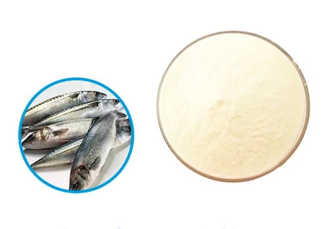 Fish Collagen Peptide