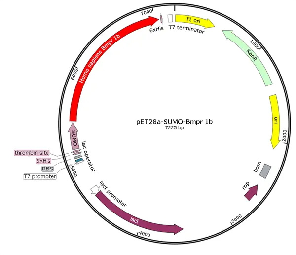 Fish ELISA Kits