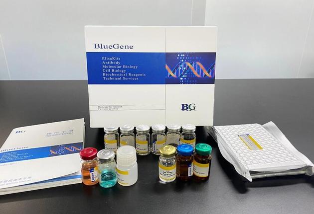 BlueGene Biotech Bovine C Type Natriuretic Peptide ELISA kit