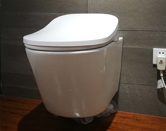 Suspended Smart Toilet Bidet Wall Hung