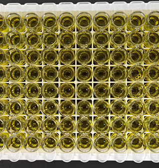 Human Collagen, Type I, Alpha 1 ELISA kit