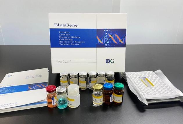 BlueGene Biotech Sheep Anti Interleukin 10 ELISA kit