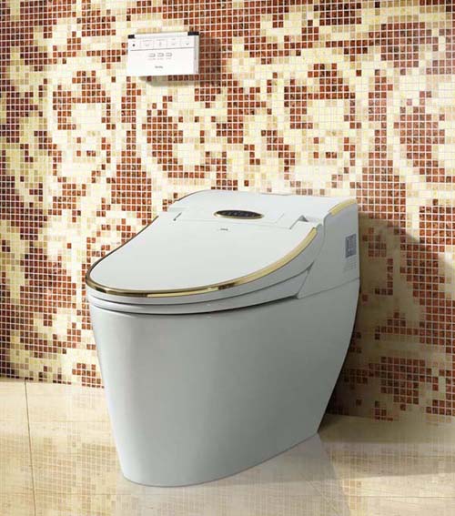 complete intelligent smart toilet  electronic Bidet