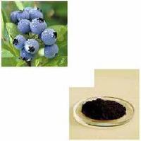 Billberry Extract