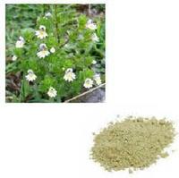 Eyebright Herb Extract