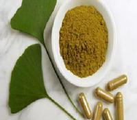 Ginko Biloba Extract