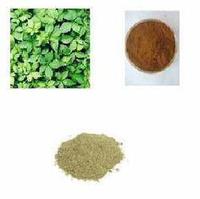 Gymnostemma Extract