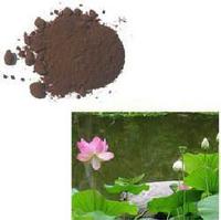 Lotus Extract